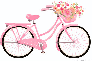 Pink bicycle with a basket of flowers on a white background, spring cycling