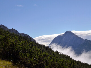 The slopes of the mountains covered with forest and grass against the background of the blue sky. Picturesque natural landscape