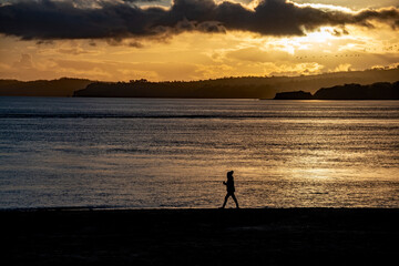 Sunset beach scene, people silhouetted against a shimmering sea in the golden sunlight.
Families and beachgoers walk along in the evening-afternoon sunlight with a dramatic sky.