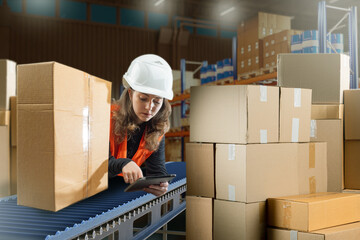 Customs registration. Girl with a scanner in the warehouse. Woman works on customs. Woman uses a...