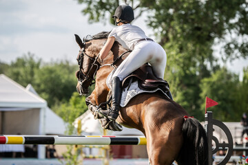 Equestrian Sports photo themed: Woman Jockey, Horse jumping, Show Jumping, Horse riding.	