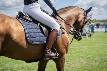 Equestrian Sports photo-themed: Horse jumping, Show Jumping, Horse riding. Horse jokey preparing to jump.