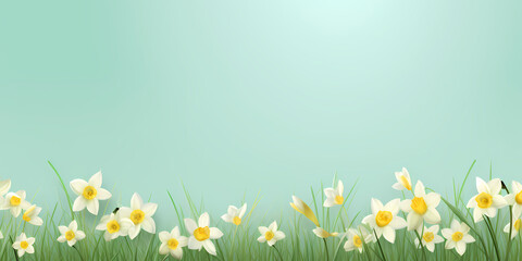 Color spring daffodils background - Seasons design - 710038123