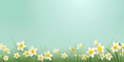 Foto op Canvas Color spring daffodils background - Seasons design © Orkidia