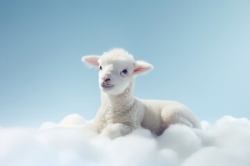 Easter white lamb on the clouds