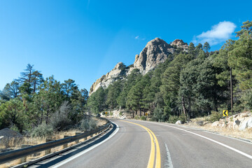 Fototapeta premium Driving the Mt. Lemmon scenic byway up near Summerhaven Arizona