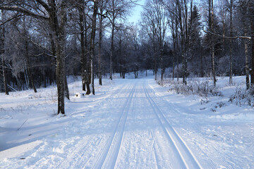 Obraz premium Winter