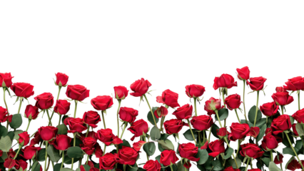 Red rose frame in line. Blank template element for postcard design or photo frame