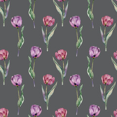 Fototapeta premium Seamless pattern with watercolor pink tulips on a gray background.