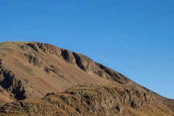 Mountain and birds, East Iceland
