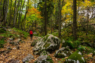route to Mount Triglav from Lake Bohinj, Triglav National Park, Julian alps. Slovenia, Central...