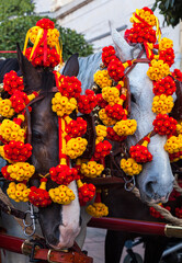 dos cabezas de caballo uno blanco y otro marrón adornados para acudir a la feria en el sur de España, en Andalucía