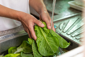 Woman washing vegetables at the sink in home kitchen, vegetable washing with water food hygiene and...