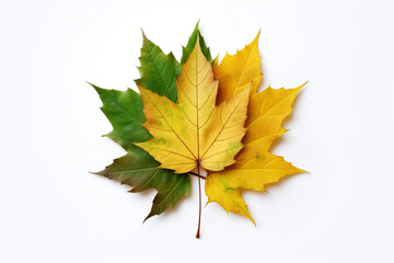 Realistic icon of recycling symbol made of green and autumn leaves, isolated white background created with Generative Ai