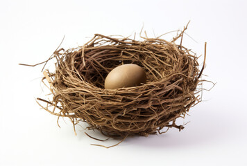 a birds nest is shown on a white background, in the style of tumblewave created with Generative Ai