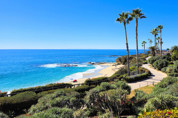 Laguna Beach ocean shoreline with palm trees at Treasure Island Park, California, USA