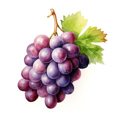 image of a grapes with an artistic watercolour style, isolated white background created with Generative Ai