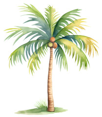 Watercolor illustration of a cute palm tree. Summer. Transparent background, png. AI generated