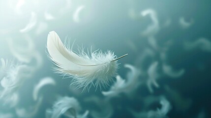 Abstract white bird feather falling in the air