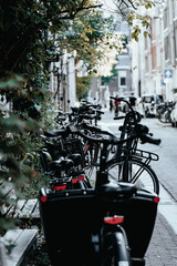 Bicycles on the street