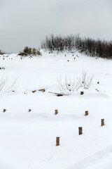 Winter trail among bushes in the dunes
