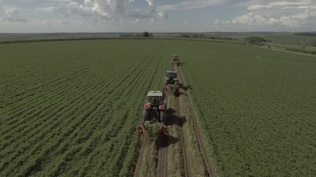 Combine harvesters in peanut field