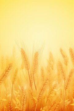 Wheat plaid background texture