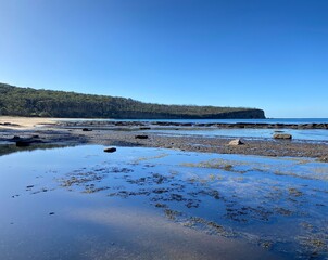 Shoreline at low tide covered with moss and lichen. Sand, pebbles and wet rocks at the edge of the ocean where the water has receded. Bay with blue sky and mountains in the distance.