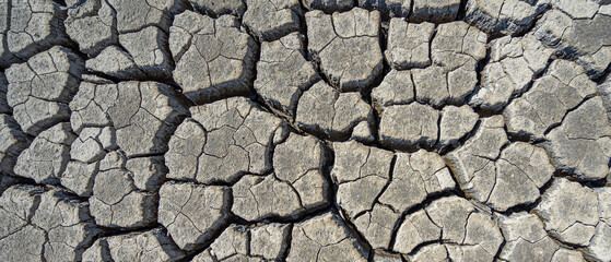 dry and cracked floor of dry river of caldera grande in the city of Barreiro. - obrazy, fototapety, plakaty