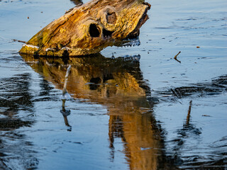 Bizarre Formen im Eis an einem zugefrorenen See