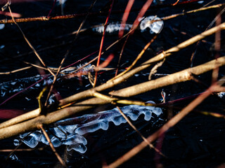 Bizarre Formen im Eis an einem zugefrorenen See