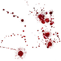 blood drops  Isolated on white background. blood drops png. png blood . flowing blood png . blood splatter background