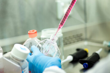 cell culture at the medicine  medical and cell culture laboratory © emir