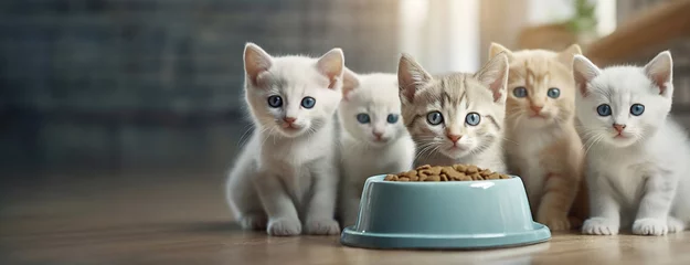 Foto op Plexiglas Adorable Kittens with Mesmerizing Blue Eyes Gathered Around a Food Bowl. A group of charming cats attentively focuses on camera. Panorama with copy space. © Igor Tichonow
