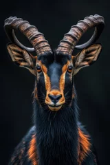 Foto op Plexiglas Giant sable antelope © Fatih