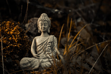 Tranquil Buddha Meditation Amidst Verdant Forest Serenity