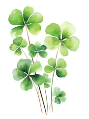 Fototapeta na wymiar Watercolor green lucky shamrock leaves on white background, Saint Patrick Day background