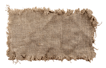 Burlap texture. A piece of torn burlap on a white background. Canvas. Packing material