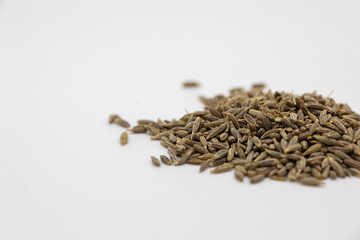 a pile of Cumin seed that is sitting on a white surface