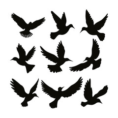 vector birds silhouettes collection white background