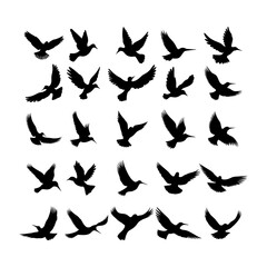 vector birds silhouettes collection white background