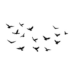Vector a flock of flying silhouette birds vector illustration - obrazy, fototapety, plakaty