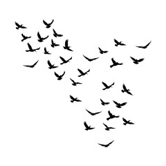 Vector a flock of flying silhouette birds vector illustration