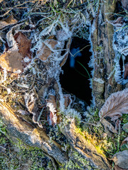 Eisflächen und bizarre Formen an einem zugefrorenen See