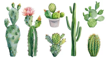 Raamstickers Cactus Set of cactus watercolor paint ilustration --ar 16:9 --v 6 Job ID: 49b90828-75d5-430d-800b-12facd236cbc