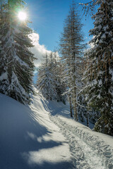 Fototapeta na wymiar Dolomiti paesaggio innevato