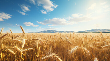wheat field of agriculture. Wheat field on an agricultural farm.Generative AI