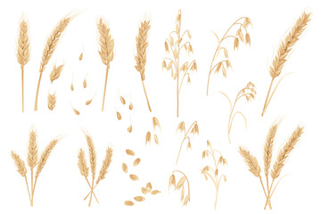 Oats and wheat mega set in flat design. Bundle elements of gold cereal plants, ripe ears with grains. Agriculture crop and ingredient for bakery products. Vector illustration isolated graphic objects