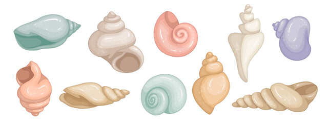 Set of colorful seashells. Vector graphics.