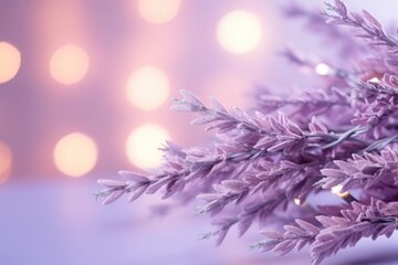 Soft Christmas lights from a garland with Christmas tree branches on a burgundy background